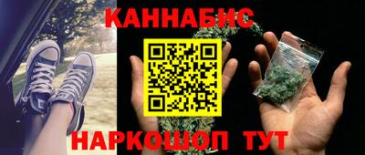 молекула духа Будённовск