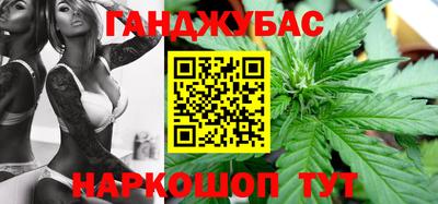 молекула духа Будённовск