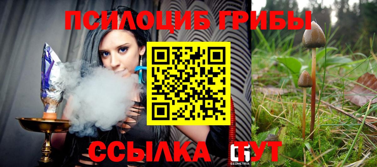Скопин  Псилоцибиновые грибы мухоморы  Вход с VPN 