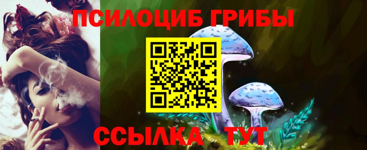 Псилоцибиновые грибы Psilocybine cubensis Скопин